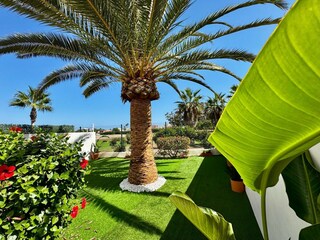 Appartement Roquetas de Mar Enregistrement extérieur 5