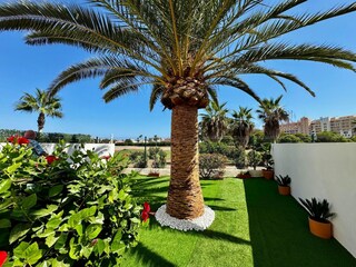 Appartement Roquetas de Mar Enregistrement extérieur 8