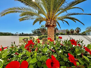 Apartment Roquetas de Mar Outdoor Recording 12