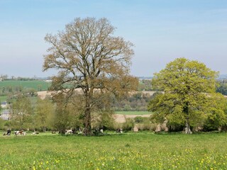 Ferienhaus Gouvets Umgebung 39