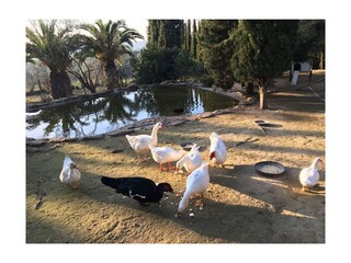 Casa vacanze Peratallada Registrazione all'aperto 7