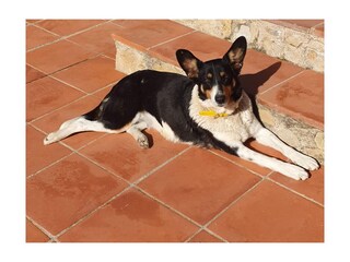 Casa vacanze Peratallada Registrazione all'aperto 9