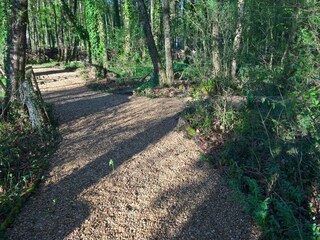 Vakantiepark Les Forges Buitenaudio-opname 6