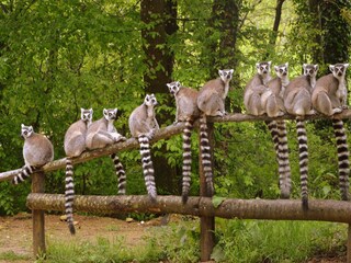 Vakantiepark Les Forges Omgeving 19