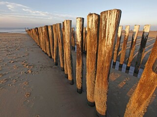 Apartamento Dishoek Entorno 23