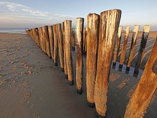 Apartment Dishoek Umgebung 31