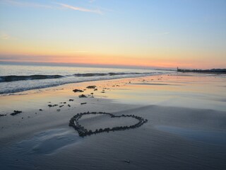 Apartment Dishoek Environment 21