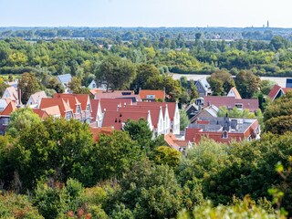 Vakantiehuis Dishoek  51