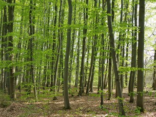 Ferienwohnung Bad Langensalza Umgebung 11