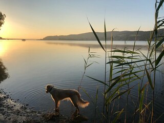 Badegrundstück 7 Automin. von Mo-einschl. Do nutzbar.
