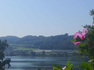 Ferienhaus Öhningen Außenaufnahme 21