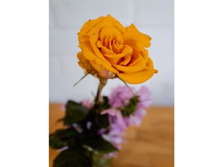 Ferienwohnung Carinerland Ausstattung 18