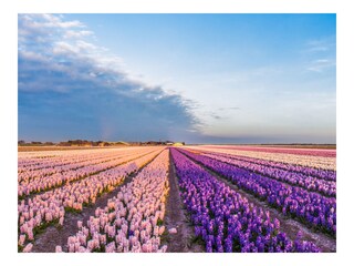 Chalet Noordwijk Umgebung 22