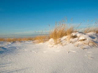 Chalet Noordwijk Umgebung 23