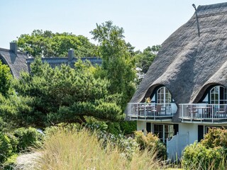 Ferienwohnung Dierhagen Außenaufnahme 7