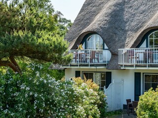 Ferienwohnung Dierhagen Außenaufnahme 9