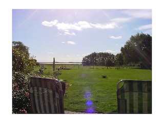 Ferienwohnung Born an der Darß Außenaufnahme 10