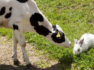 Vakantieappartement Ultental Omgeving 33