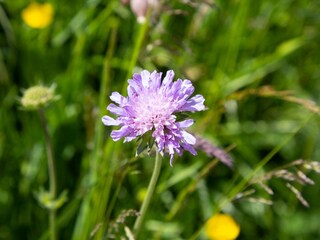 Vakantieappartement Ultental Buitenaudio-opname 8