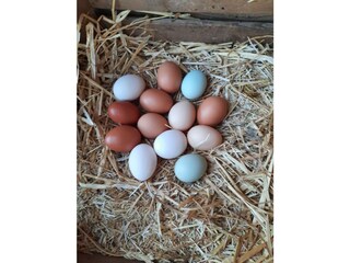 Vakantieappartement Ultental Omgeving 36