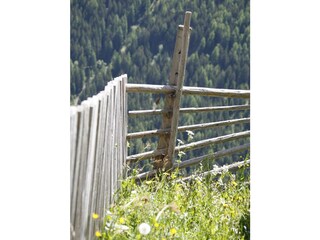 Appartamento per vacanze Ultental Ambiente 27