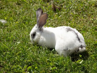 Appartamento per vacanze Ultental Ambiente 29