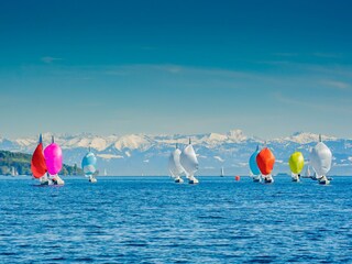 Segelboote auf dem Bodensee