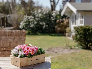 Casa per le vacanze Wenningstedt Registrazione all'aperto 100