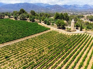 Maison de vacances Santa Maria del Camí Environnement 26