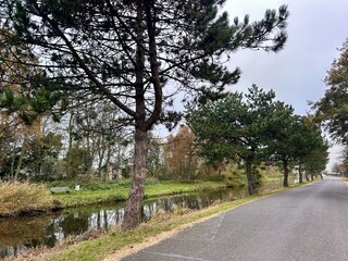 Bungalow Julianadorp Umgebung 25