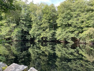 Vakantiehuis Immeln  12