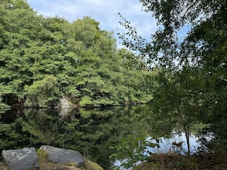 Holiday house Immeln  11