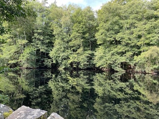 Vakantiehuis Immeln  12