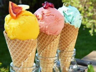 Holiday house Immeln  10