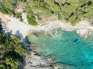 Apartment Zavalatica  83