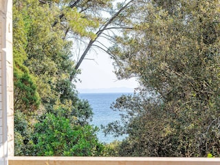 Apartment Zavalatica  87