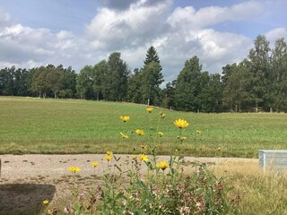 Ferienhaus Simlångsdalen Außenaufnahme 4