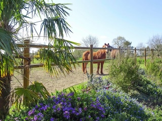 Ferienhaus Plouezec Außenaufnahme 6
