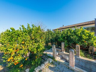 Villa Sa Pobla Umgebung 40
