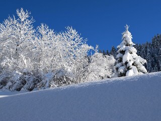Winterlandschaft