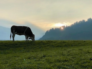 Allgäu-Idylle