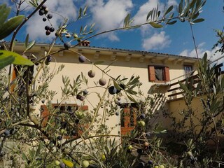 Farmhouse Sumber Outdoor Recording 4