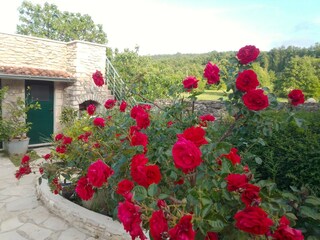 Farmhouse Sumber Outdoor Recording 14