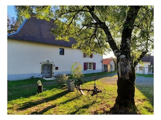 Ferienhaus Saint-Mesmin Außenaufnahme 2