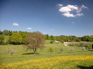 Unweit vom Haus beginnt die Natur