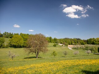 Vakantieappartement Daisendorf Omgeving 15