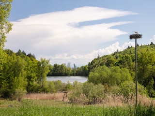 Störche fühlen sich hier auch wohl