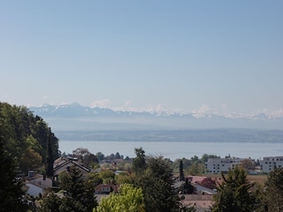 Aussicht auf den Bodensee