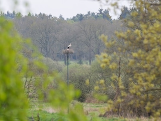 Der Blick in die Hunteaue