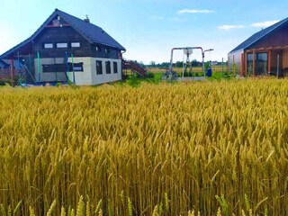 Vakantiepark Jarosławiec Buitenaudio-opname 4